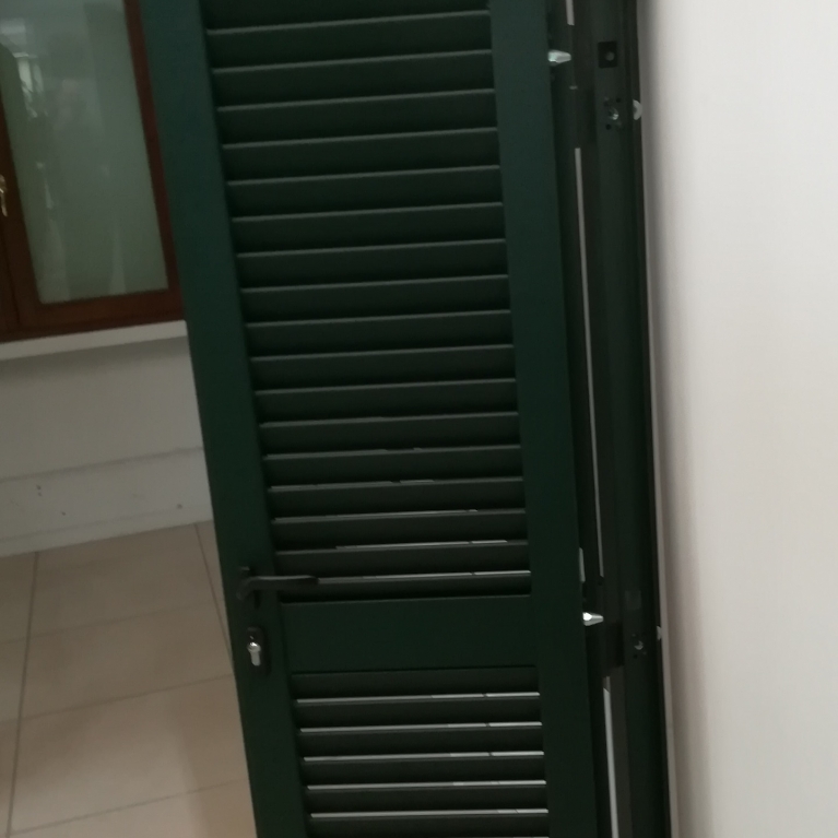Particolare dei rostri laterali